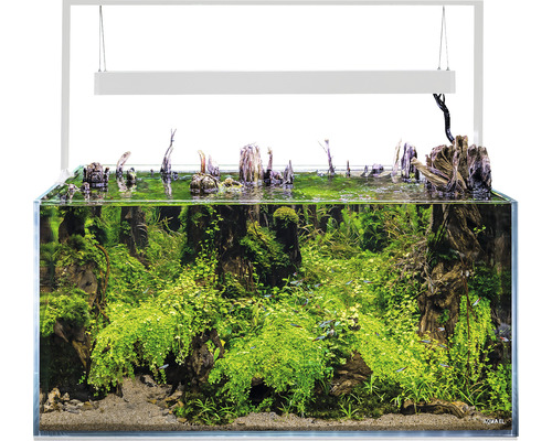 AQUAEL Aquariumcombinatie UltraScape 90 met LED verlichting 243 L excl. onderkast sneeuwwit 90x60x45 cm