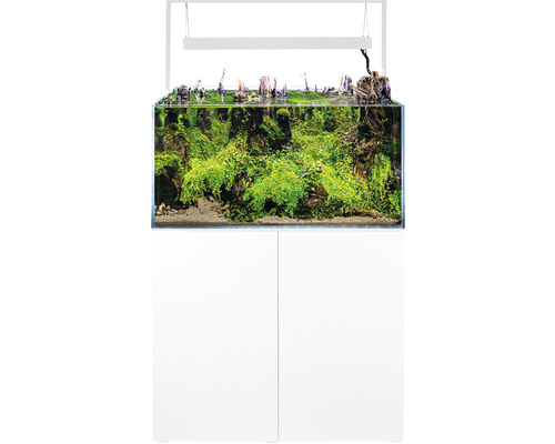 Compleet aquariumset met kast, beplanting en verlichting