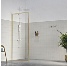 Badkamer met douche, plank en kamerplant
