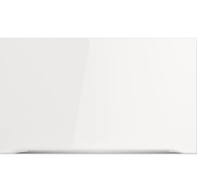 Witte kast