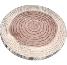 Ronde houten schijf met jaarringen