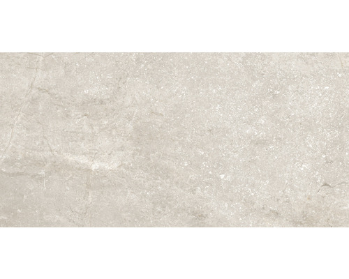 Wand- en vloertegel Wells donker beige 30x60 cm gerectificeerd