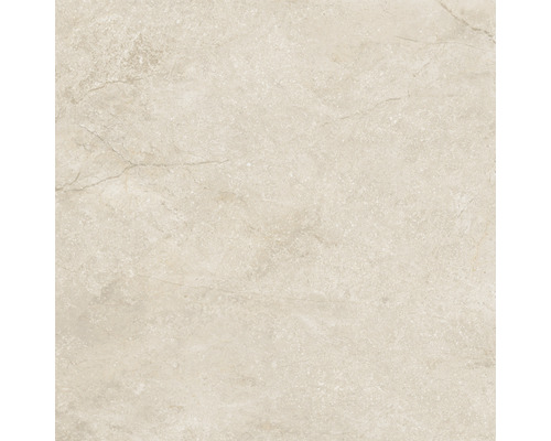 Wand- en vloertegel Wells beige 60x60 cm gerectificeerd