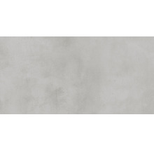 Wand- en vloertegel Noblesse lichtgrijs 30x60 cm