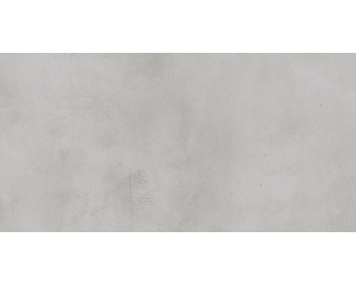 Wand- en vloertegel Noblesse lichtgrijs 30x60 cm