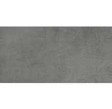 Wand- en vloertegel Noblesse grijs 30x60 cm