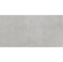 Wand- en vloertegel Noblesse lichtgrijs 60x120 cm