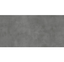 Wand- en vloertegel Noblesse grijs 60x120 cm