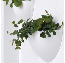 Wanddecoratie met planten in witte bloempotten