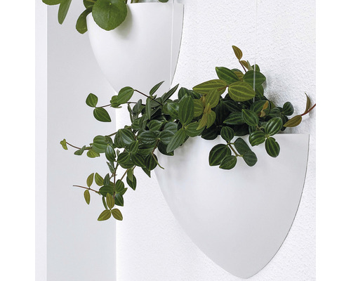 Wanddecoratie met planten in witte bloempotten