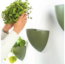 Afbeelding van iemand die een groene plant in een groene wandbloempot plaatst.