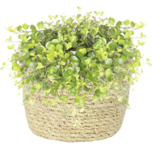 TS Mand Igmar naturel Ø 18 cm H 16 cm