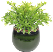 Kunst nestvaren in keramische pot voor decoratie