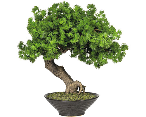 Kunstplant Bonsai lariks groen in pot H 37 cm