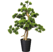 Kunstmatige Bonsai boom in zwarte pot