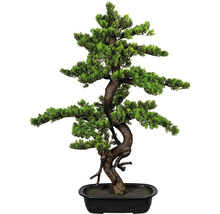 Kunstmatige bonsai boom in pot