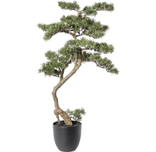 Decoratieve kunst bonsai boom in pot voor binnenshuis decoratie