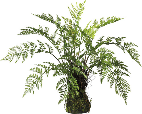 Kunstplant Varen met moskluit groen H 60 cm