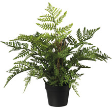 Kunstmatige varen in zwarte pot