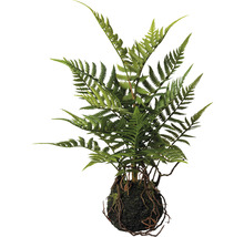 Kunstmatige varen met wortelkluit als decoratie