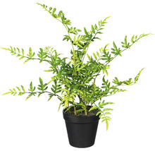 Kunstmatige varen in een pot