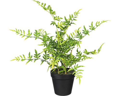 Kunstplant Japanse kantvaren groen in pot H 40 cm