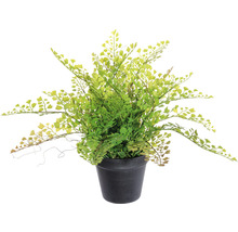 Kunstplant Venushaar in pot