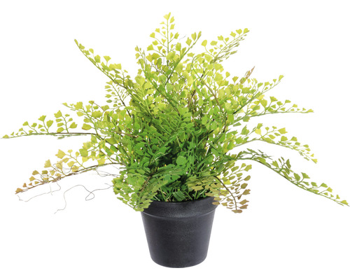 Kunstplant Venushaar groen in pot H 40 cm