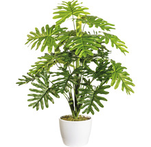 Kunstmatige kamerplant in witte pot