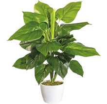 Kunstmatige kamerplant in witte pot