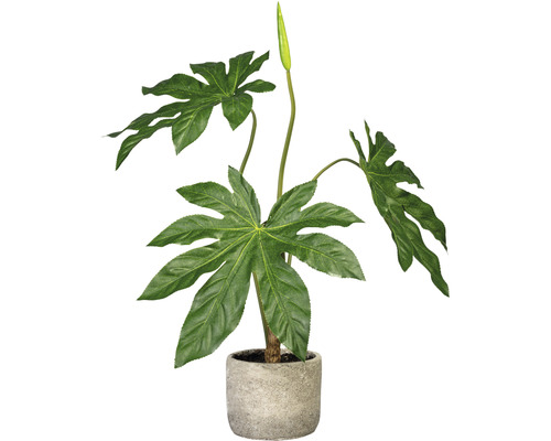Kunstplant Aralia groen in pot H 60 cm