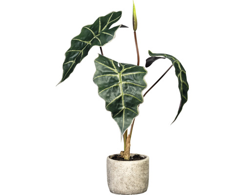 Kunstplant Alocasia in pot groen H 60 cm