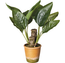 Kunstplant Canna bladplant groen in pot H 45 cm