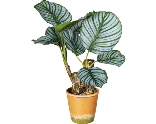 Kunstplant Calathea groen in pot H 45 cm