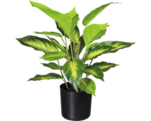 Kunstplant Dieffenbachia groen in pot H 45 cm