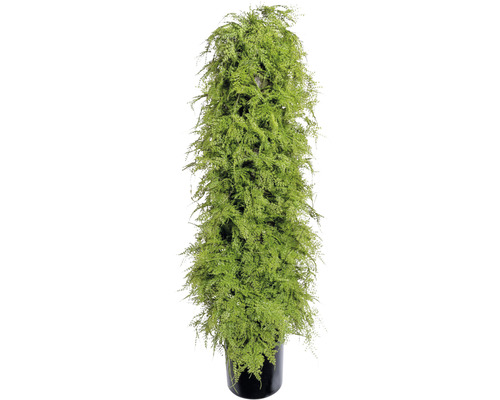 Kunstplant Aspargus groen in pot H 120 cm