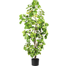 Kunstplant met ronde bladeren in een pot