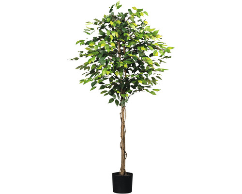 Kunstplant Ficus benjamini groen in pot H 180 cm