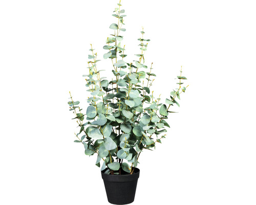 Kunstplant Eucalyptus silver dollar pot in pot H 80 cm