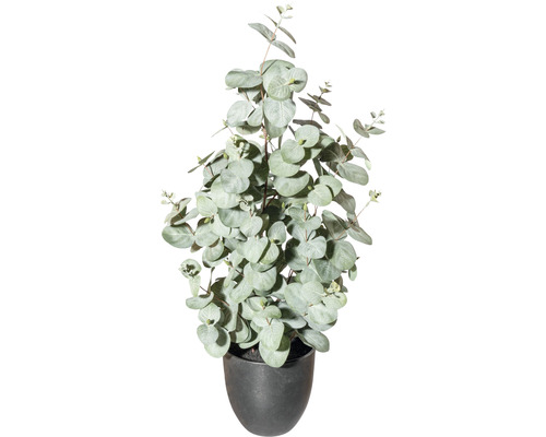 Kunstplant Eucalyptus groen in pot H 60 cm
