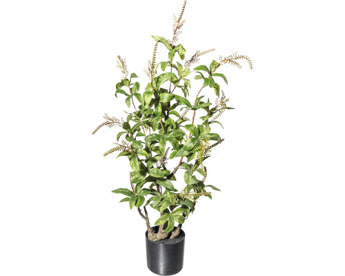Kunstplant Rotsheide groen in pot H 85 cm