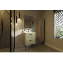 Moderne badkamer met wastafelonderkast, spiegelkast en hoge kast