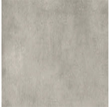 Wand- en vloertegel Manatan tan mat 60,8x60,8 cm