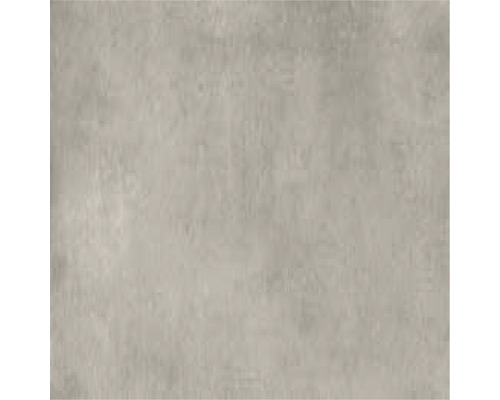 Wand- en vloertegel Manatan tan mat 60,8x60,8 cm