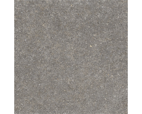 Wand- en vloertegel Bulgaria grey mat 60,8x60,8 cm