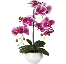 Kunstplant Vlinderorchidee fuchsia in pot H 52 cm