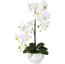 Kunstmatige orchidee in witte pot