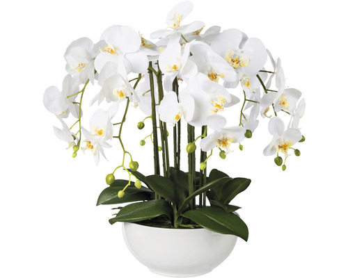 Kunstplant Vlinderorchidee wit in schaal H 54 cm