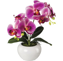 Orchidee in een witte sierpot