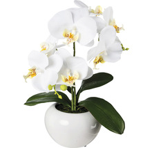 Kunstmatige orchidee in een witte pot